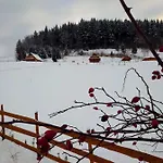 Kolorowe *