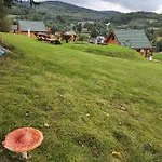 Kolorowe