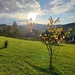 Kolorowe