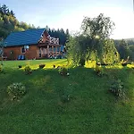 Kolorowe