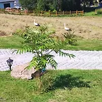 Tatil Evi Kolorowe