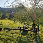 Kolorowe * Marciszow