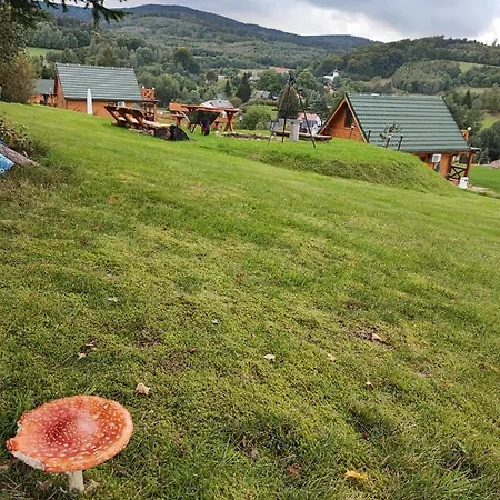 Kolorowe