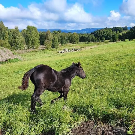 Kolorowe Feriehus Marciszow