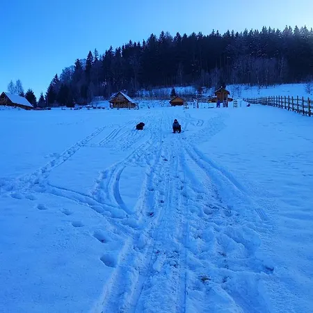 Kolorowe Prázdninový dům