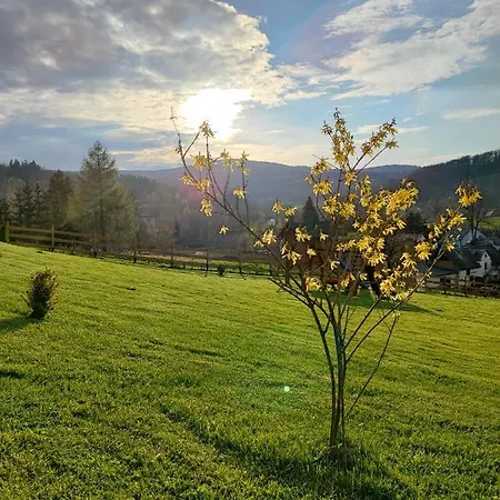 Kolorowe