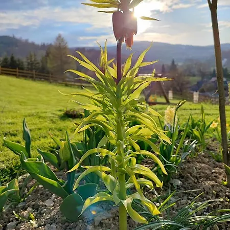 Kolorowe Prázdninový dům *