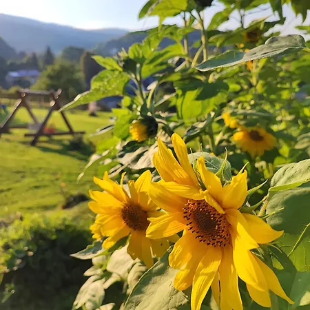 Kolorowe Сasa de vacaciones