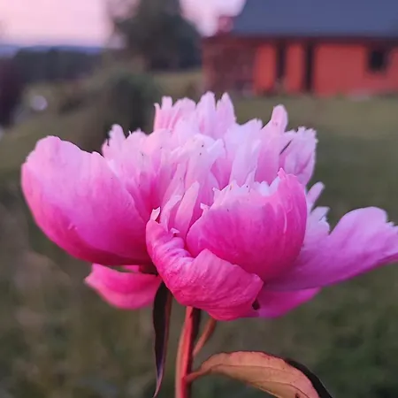 Holiday home Kolorowe