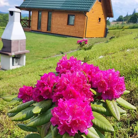 Сasa de vacaciones Kolorowe Marciszow