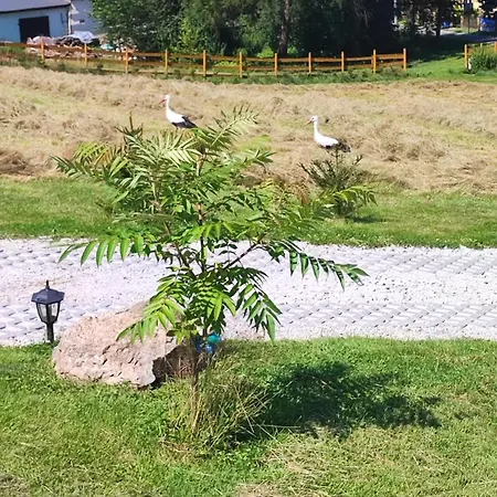 Prázdninový dům Kolorowe