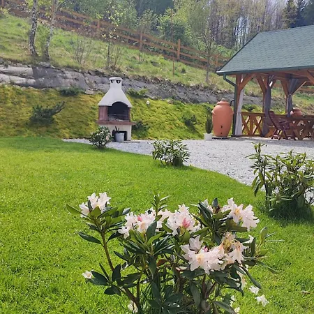 Kolorowe