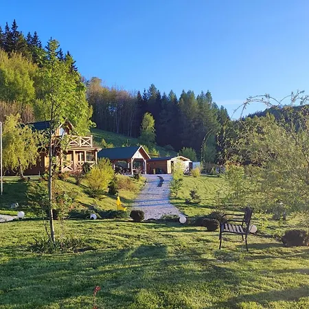 Kolorowe Marciszow