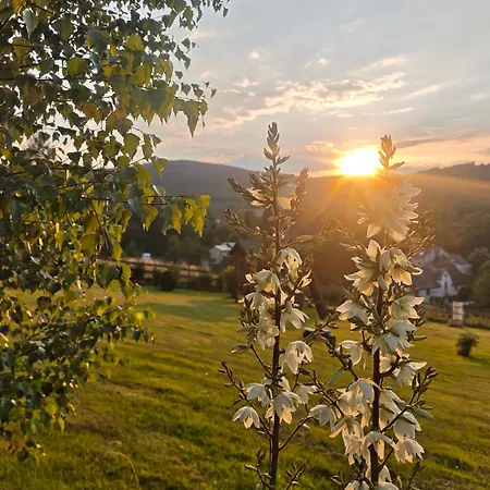 Kolorowe * Marciszow