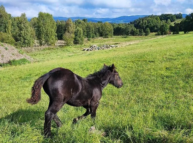 Kolorowe Дом отдыха Marciszow