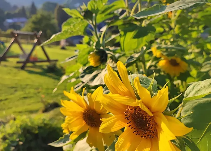 Kolorowe Дом отдыха