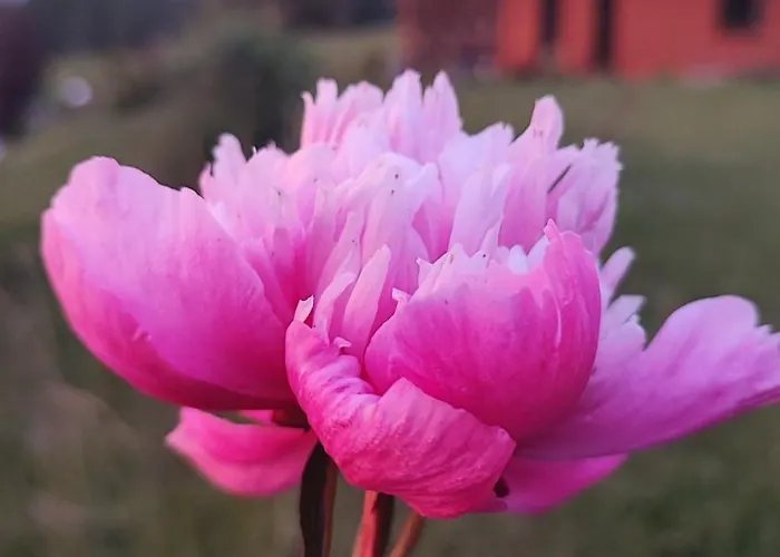 Дом отдыха Kolorowe