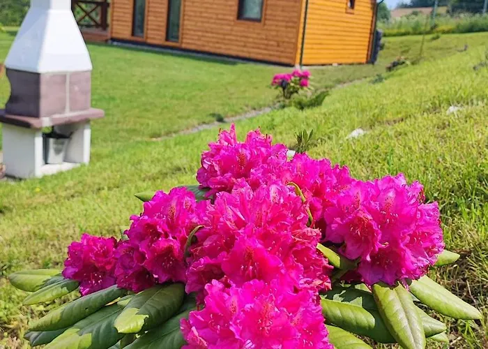 Дом отдыха Kolorowe Marciszow