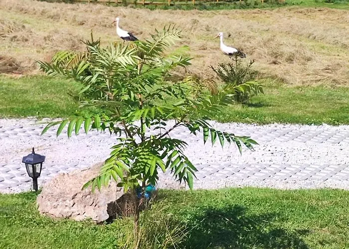 Дом отдыха Kolorowe