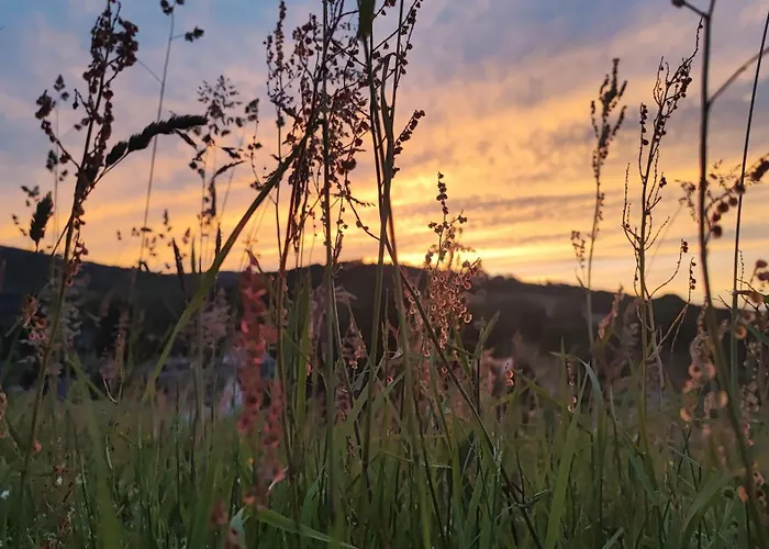 Дом отдыха Kolorowe *